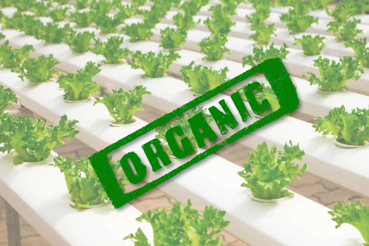 Cangro organic certification
